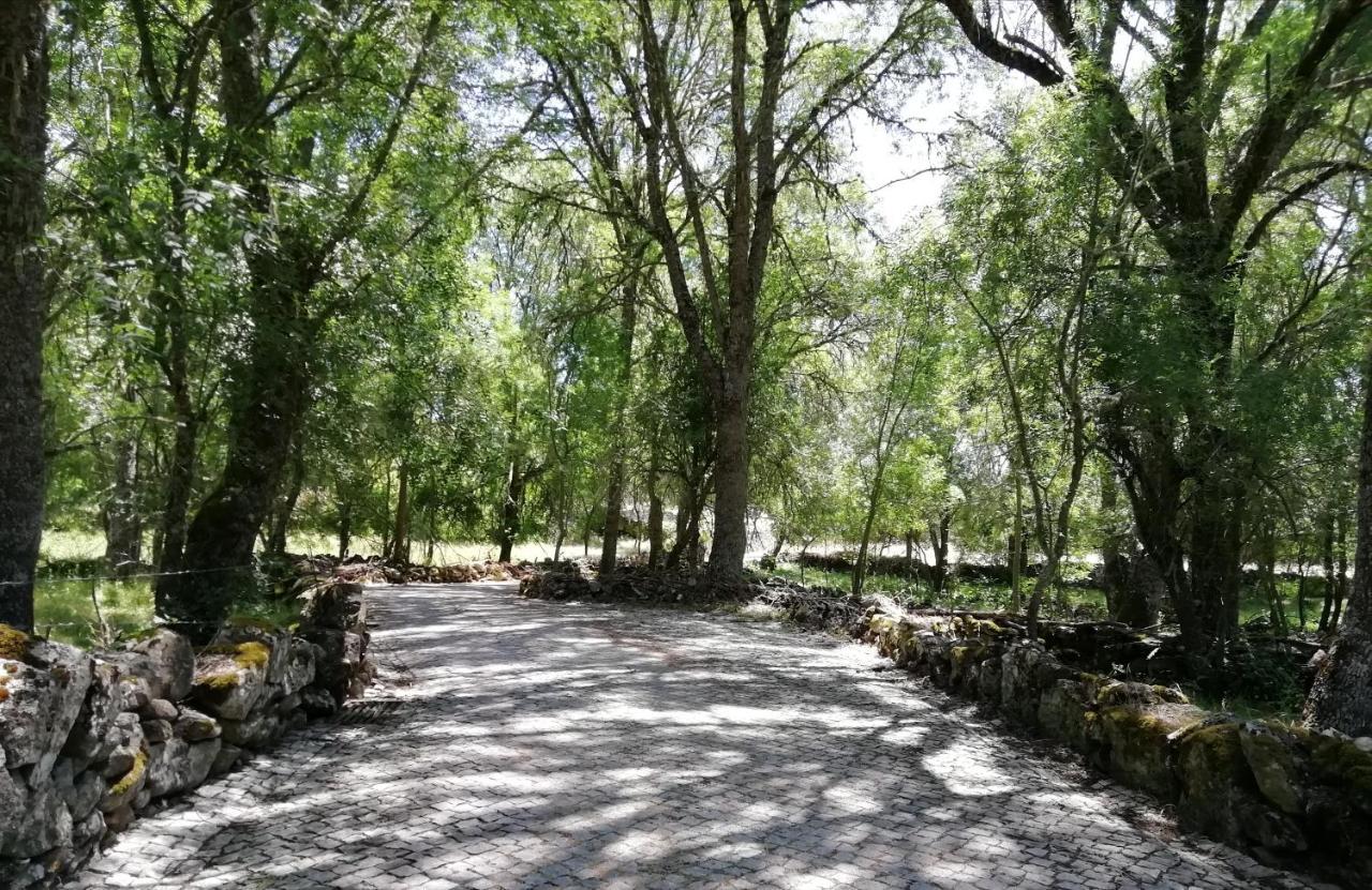 Carya Tallaya - Casas De Campo Vale das Eguas Exterior photo